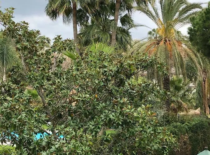 Luxury In La Isla, Walking Distance To Puerto Banus Lägenhet